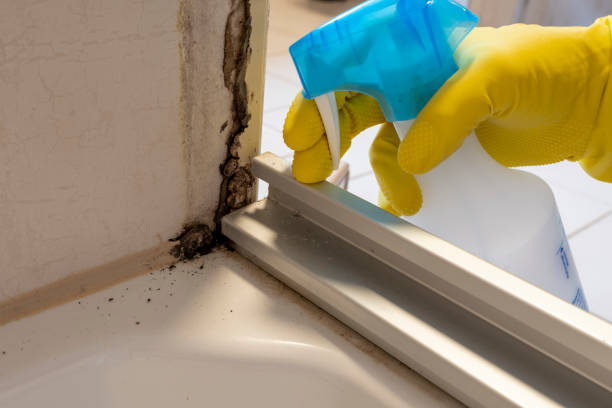 Best Industrial Mold Remediation in Lakeview, OR